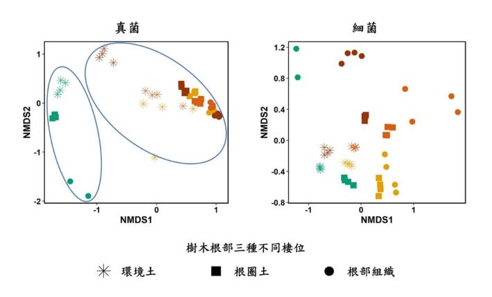 圖4 / 褐根病菌造成樹木根部各棲位真菌和細菌組成結構的改變