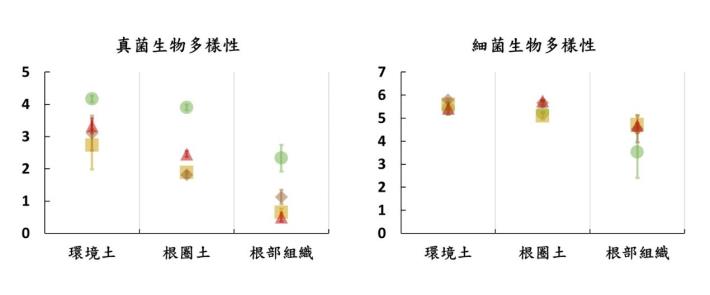 圖3 / 以Shannon生物多樣性指數評估褐根病菌對樹木地下各生態棲位真菌及細菌生物多樣性的影響，數值越大表示生物多樣性越高