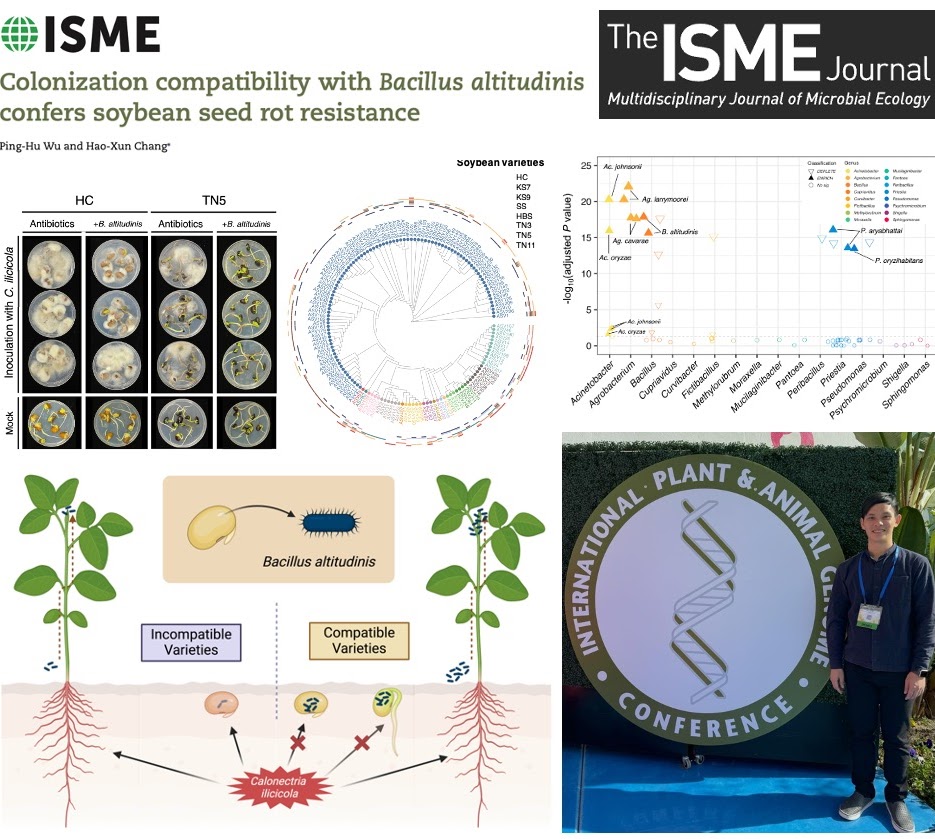 微生物群相調控大豆種子抗腐敗性揭示根部缺乏抗性之原因(張皓巽老師實驗室 吳秉祜)