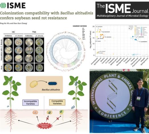 微生物群相調控大豆種子抗腐敗性揭示根部缺乏抗性之原因(張皓巽老師實驗室 吳秉祜)