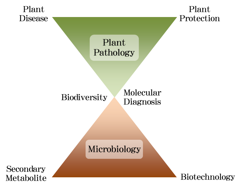 Programs of Study