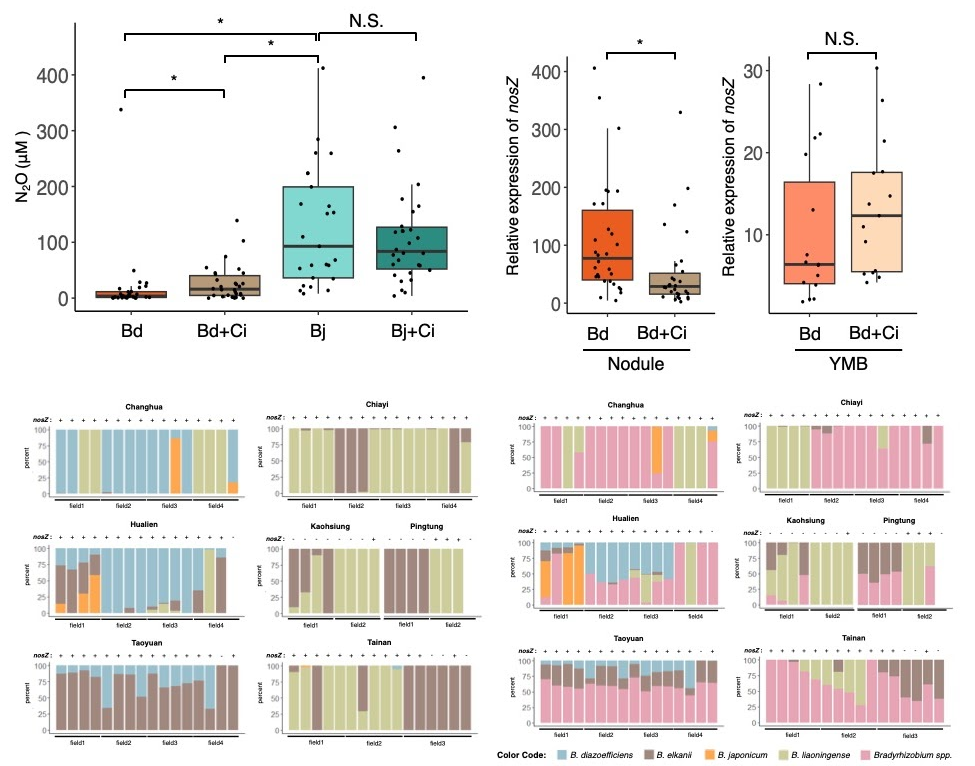 N₂O Emissions in Soybean Nodules Related to Rhizobial nosZ Gene: Impact of Calonectria ilicicola and Field Survey across Taiwan